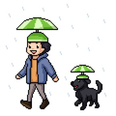 Erkek köpek yağmurunun pikseli arka planda izole edildi