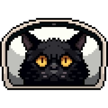 Kedi yüzlü pencerenin piksel sanatı izole arkaplan