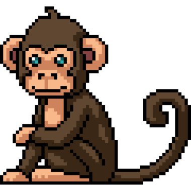 pikseldeki maymun oturuşu gülümsemesi izole edilmiş arka plan