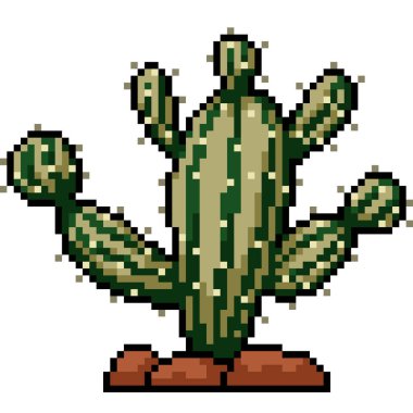 Kaktüs sivri uçlu bitki piksel sanatı izole edilmiş arka plan