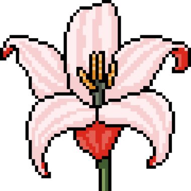 Pembe zambak çiçeğinin piksel sanatı izole edilmiş arkaplan