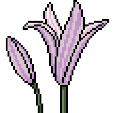 Pembe çiçeğin piksel sanatı yalıtılmış arkaplan açar