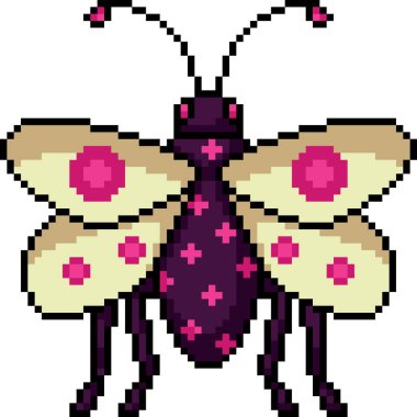 Şirin, süslü, izole arkaplan hatası piksel sanatı