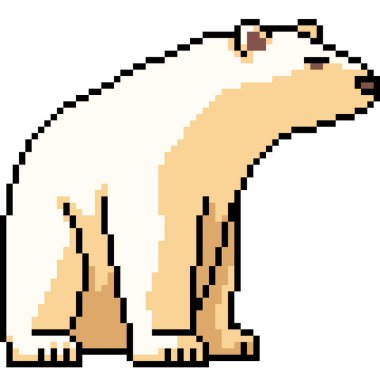 Beyaz ayının pikseli izole bir arka planda oturur