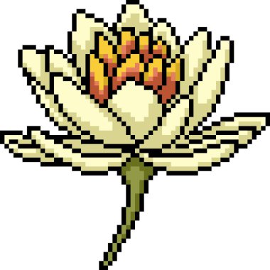 Beyaz çiçeğin piksel sanatı yalıtılmış arkaplan açar