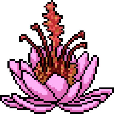 Pembe çiçeğin piksel sanatı yalıtılmış arkaplan açar