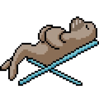 Fok balığı pikseli plaj şekerlemesi izole edilmiş arka plan