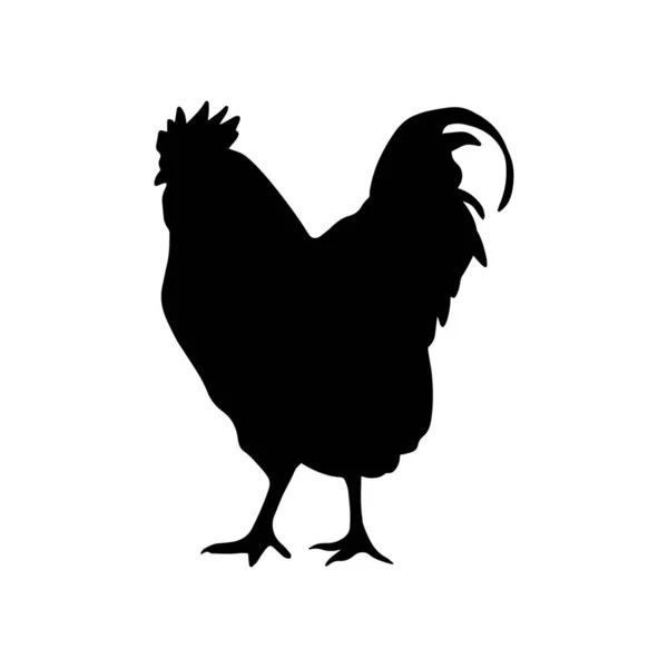 Gallo Semplice Icona Grafica Contorno Isolato Sfondo Bianco Fattoria Uccello — Vettoriale Stock