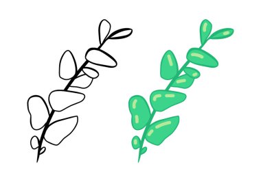 Herbal doodle eucalyptus branch icon, simple hand drawn sketch line art style, black and green branch botany set. Beauty elegant logo design element. Graphic isolated symbol drawing.