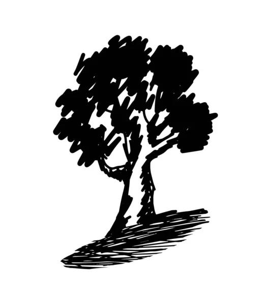 Beyaz Arka Planda Çizimi Ağaç Çizimi Var Manzara Çizimi Sert — Stok Vektör