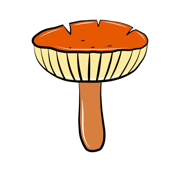 Colorful Mushroom Vector Icon Isolated White Cartoon Sticker Autumn Season — Stock Vector