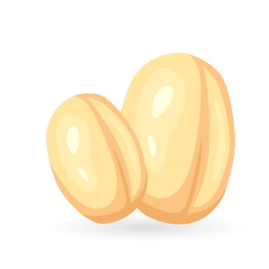 Gerçekçi çizgi film yulaf tohumu ikonu. Beyaz arkaplanda buğday tohumu izole edilmiş renkli vektör çizimi.