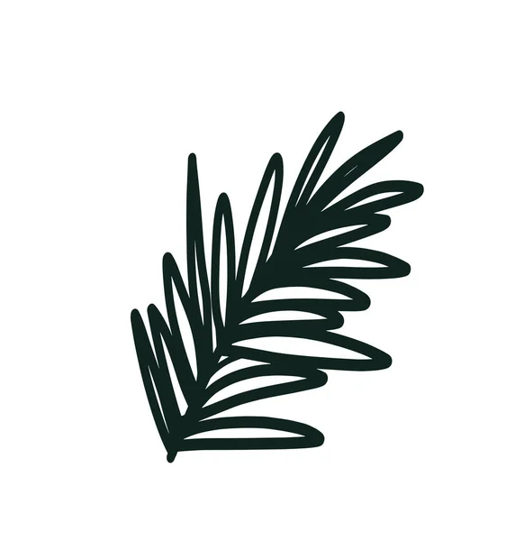 Doodle Очертания Розмарином Ветви Изолированы Белом Фоне Простая Векторная Цветочная — стоковый вектор