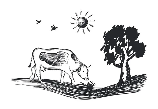 Leite Linha Vaca Arte Esboço Desenho Fazenda Animal Doméstico Doodle —  Vetores de Stock