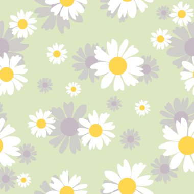 Çiçekli papatya çayı pürüzsüz deseni. Botanik kumaş deseni. Beyaz papatya çiçekleriyle vektör illüstrasyonu.