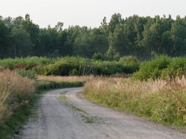 Ülke çakıl yolu perspektif yaz manzaralı patika