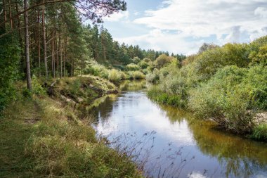 Yazın güzel kır gölü sulardaki yansımalarla ve yeşil ağaç yapraklarıyla