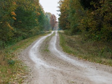 Ülke çakıl yolu perspektif yaz manzaralı patika