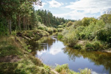 Yazın güzel kır gölü sulardaki yansımalarla ve yeşil ağaç yapraklarıyla