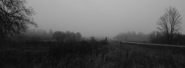 Koyu karamsar kırsal kesim panoramik sahne monokrom grisi tonlarıyla. Doğada depresyon ve umutsuzluk