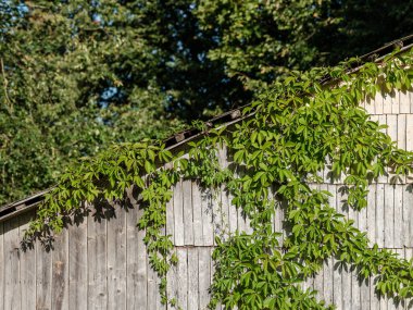 Duvarları ve pencereleri olan eski kırsal yapı detayları