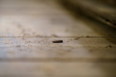 Duvarları ve pencereleri olan eski kırsal yapı detayları