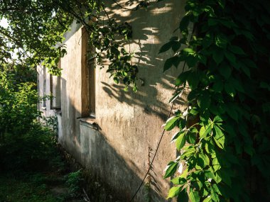 Duvarları ve pencereleri olan eski kırsal yapı detayları