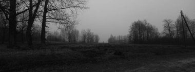 Koyu karamsar kırsal kesim panoramik sahne monokrom grisi tonlarıyla. Doğada depresyon ve umutsuzluk