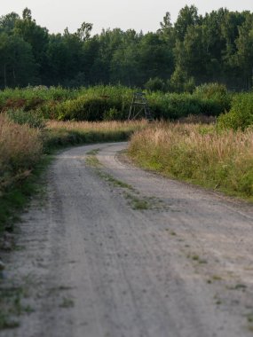 Ülke çakıl yolu perspektif yaz manzaralı patika