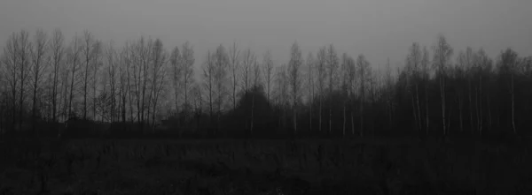Mörk Lynnig Landsbygd Panorama Scen Monokrom Grå Toner Depression Och — Stockfoto
