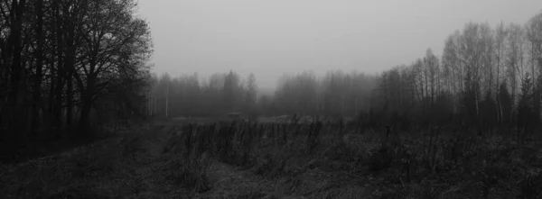 黑暗忧郁的乡村全景 以单调的灰色色调呈现 沮丧和绝望的性质 — 图库照片