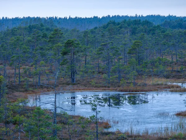 Prachtig Landschapsmeer Zomer Met Reflecties Water Groene Boombladeren — Stockfoto