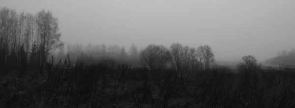 Темно Капризная Сельская Панорамная Сцена Монохромных Серых Тонах Депрессия Отчаяние — стоковое фото