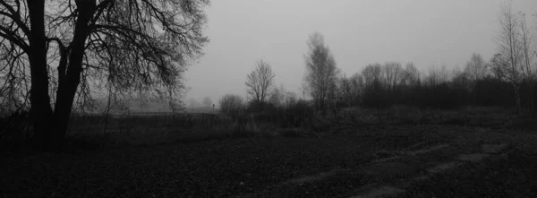Dark Moody Countryside Panoramic Scene Monochrome Grey Tones Depression Despair — Stock Photo, Image