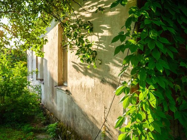 Duvarları ve pencereleri olan eski kırsal yapı detayları