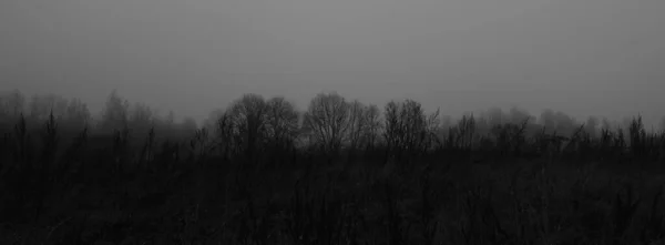 モノクロームの灰色の色調で暗いムーディな田舎のパノラマシーン 自然の中での落ち込みや絶望 — ストック写真