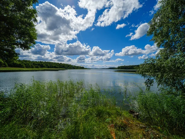 여름의 아름다운 호수에 과푸른 나뭇잎 반사되어 — 스톡 사진