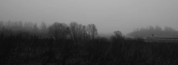 Tmavá Náladová Krajinná Panoramatická Scéna Monochromaticky Šedých Tónech Deprese Zoufalství — Stock fotografie