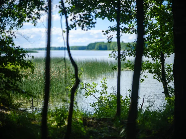 Vacker Landsbygd Sjö Sommaren Med Reflektioner Vatten Och Gröna Trädblad — Stockfoto