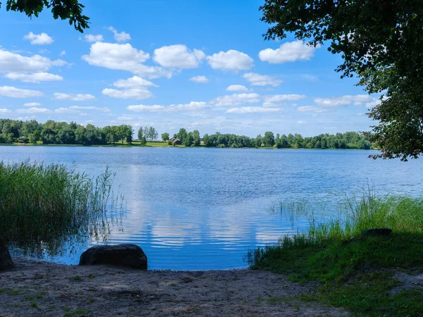 Yazın güzel kır gölü sulardaki yansımalarla ve yeşil ağaç yapraklarıyla
