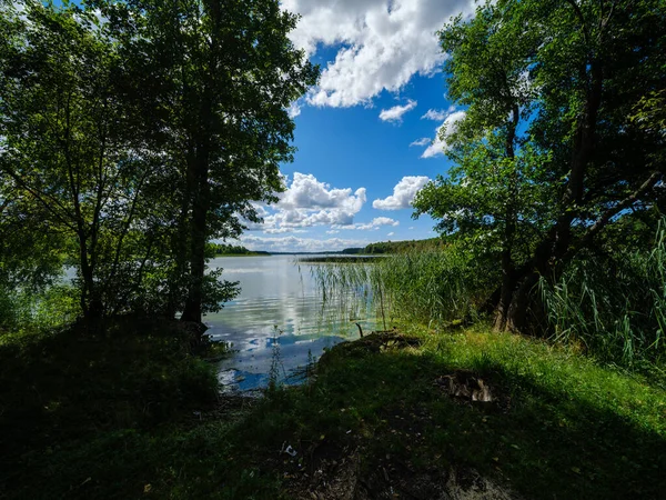 Όμορφη Λίμνη Εξοχή Καλοκαίρι Αντανακλάσεις Στο Νερό Και Πράσινα Φύλλα — Φωτογραφία Αρχείου