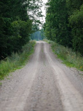 Yeşil yaz arazilerindeki çakıl taşrası yolu çimlerle kaplanmış.