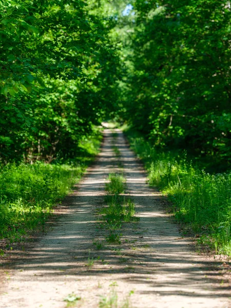 草で覆われた緑の夏の畑の砂利の国道 — ストック写真
