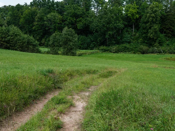 Onverharde Landweg Groene Zomervelden Begroeid Met Gras — Stockfoto