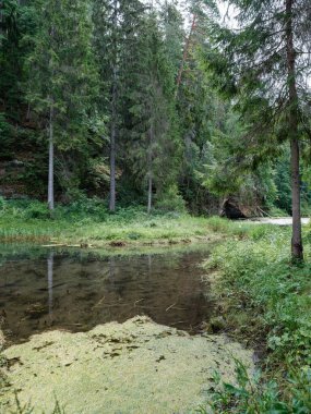 Sakin bir akşam, göl kenarında dinlenme ve sessizlik kırsalda.