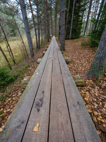 ハイキングのためのボグトレイルの古い木製プランク板の道 — ストック写真