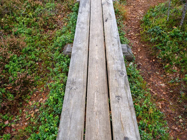 沼泽路上的旧木板路 供徒步旅行用 — 图库照片