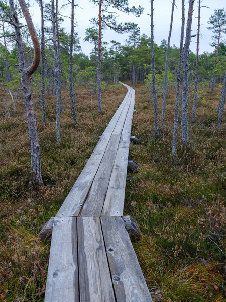 ハイキングのためのボグトレイルの古い木製プランク板の道 — ストック写真