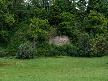Arka planda taze kesilmiş yeşil çimenler ve ağaçlar olan kırsal bir çiftlik çayırı. Doğa manzarası
