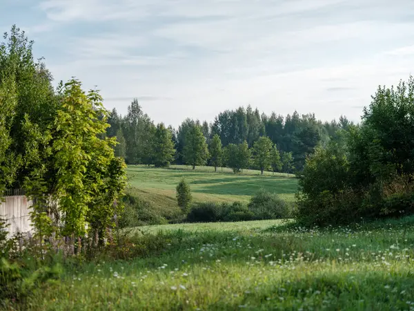 countryside farm meadow with fresh cut green grass and trees in background. nature landscape